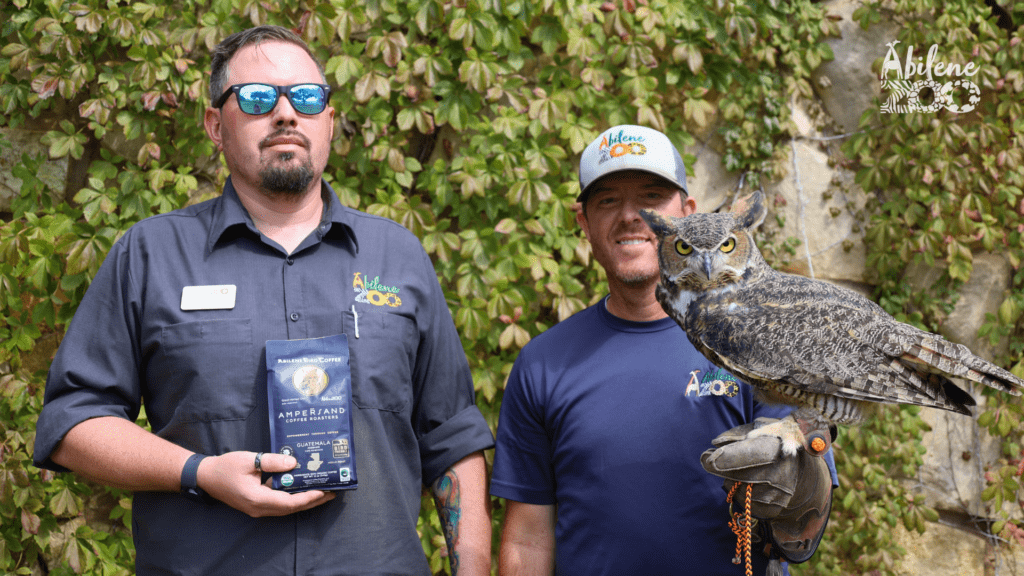 Press Release Abilene Bird Coffee Matthew Strong and Ryan King with Einstein, the Great Horned Owl